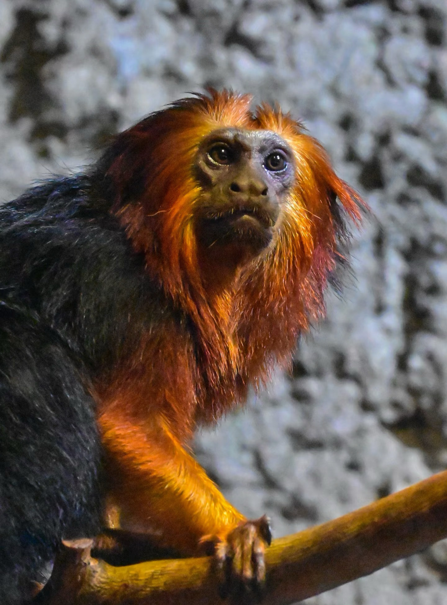 変夌瀧壤决夅的夈夊 変夌瀧壤决夅的夈夊